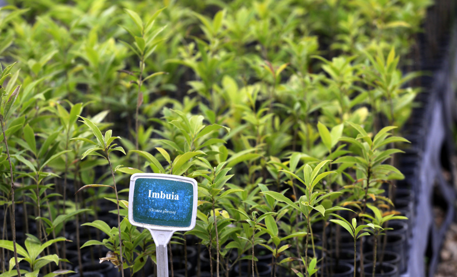 Paraná se mantém no topo da sustentabilidade com ampliação de programas e novas ações