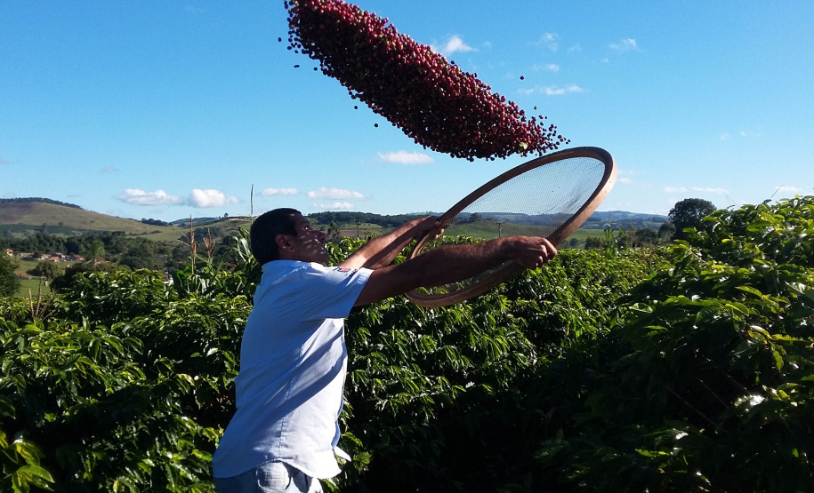 Cafeicultores de todo o Paraná se reúnem na ExpoLondrina