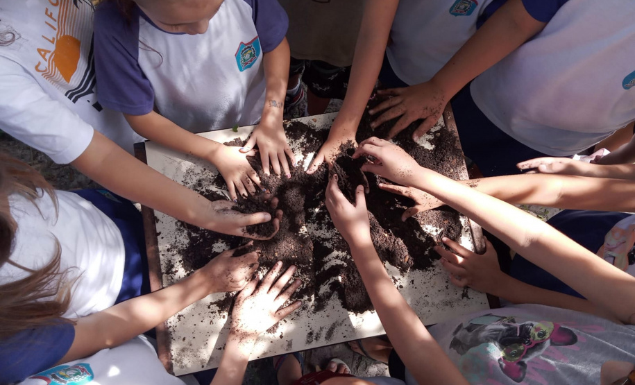 Compostar para Cultivar