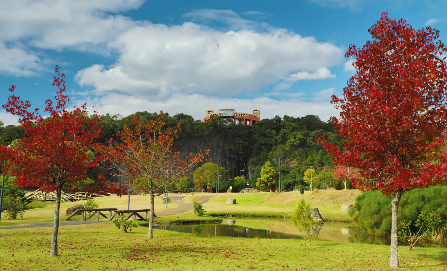 Com legislação rígida e investimento, Paraná alcança nível mais alto da qualidade do ar