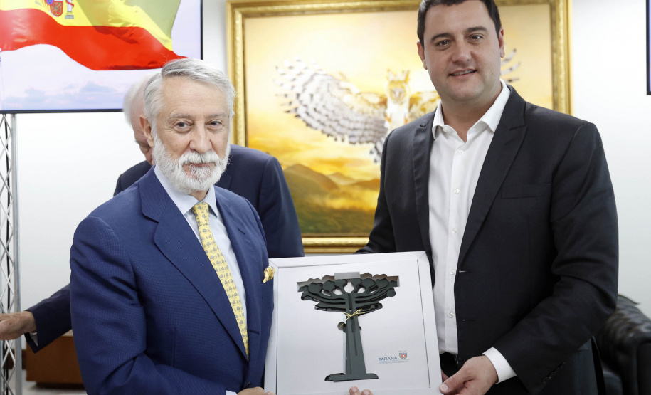 Embaixadora da Espanha