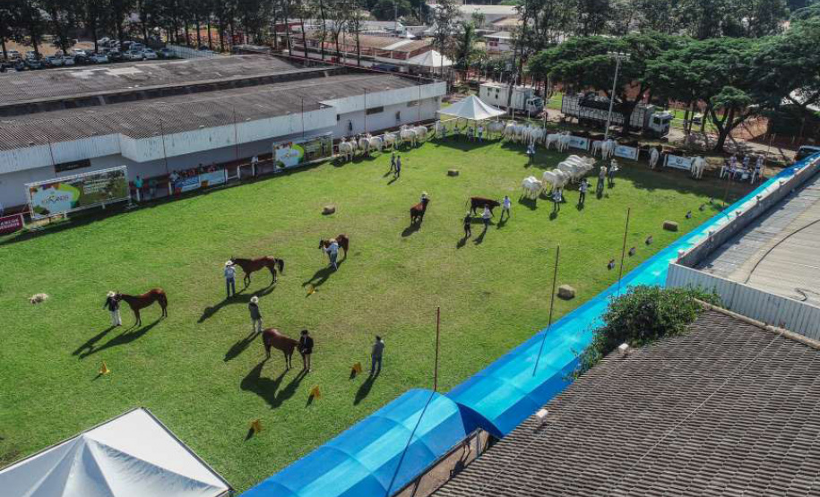IDR-Paraná fomenta o Turismo Rural e a produção agropecuária na EXPOINGÁ 2023