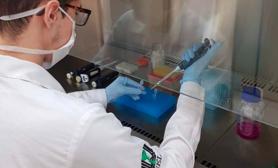 Aumento de bolsas da Fundação Araucária beneficia 354 pesquisadores da UEL