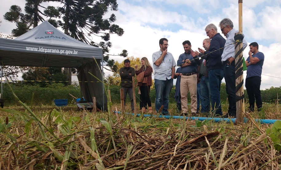 Produção agroecológica ganha impulso com encontro em estação de pesquisa