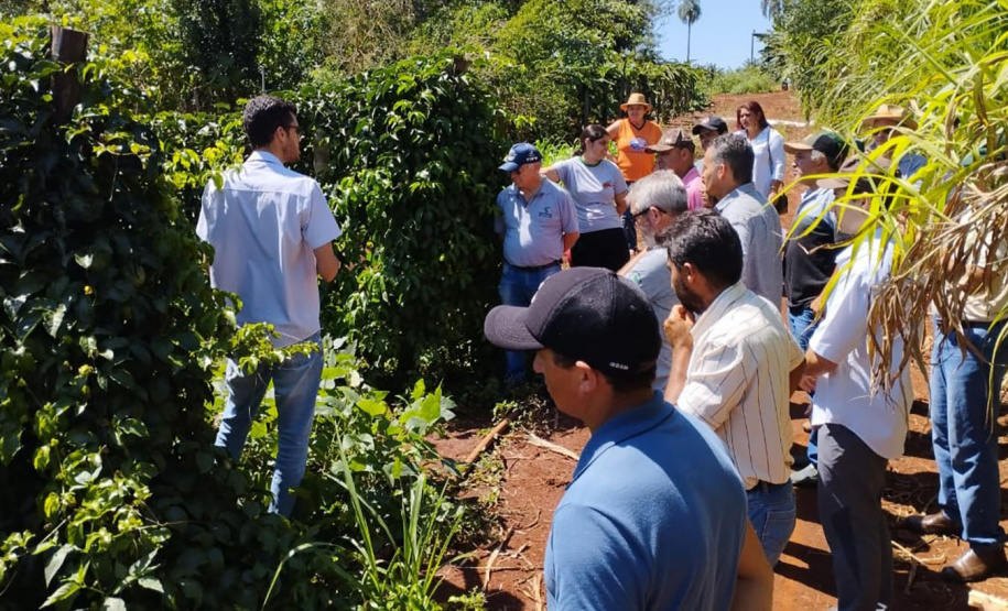 IDR-Paraná incentiva produção de frutas orgânicas em Arapongas