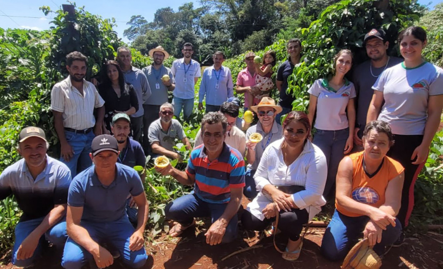 IDR-Paraná incentiva produção de frutas orgânicas em Arapongas