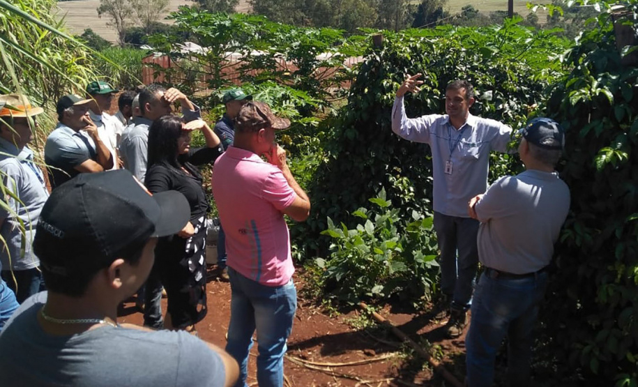 IDR-Paraná incentiva produção de frutas orgânicas em Arapongas