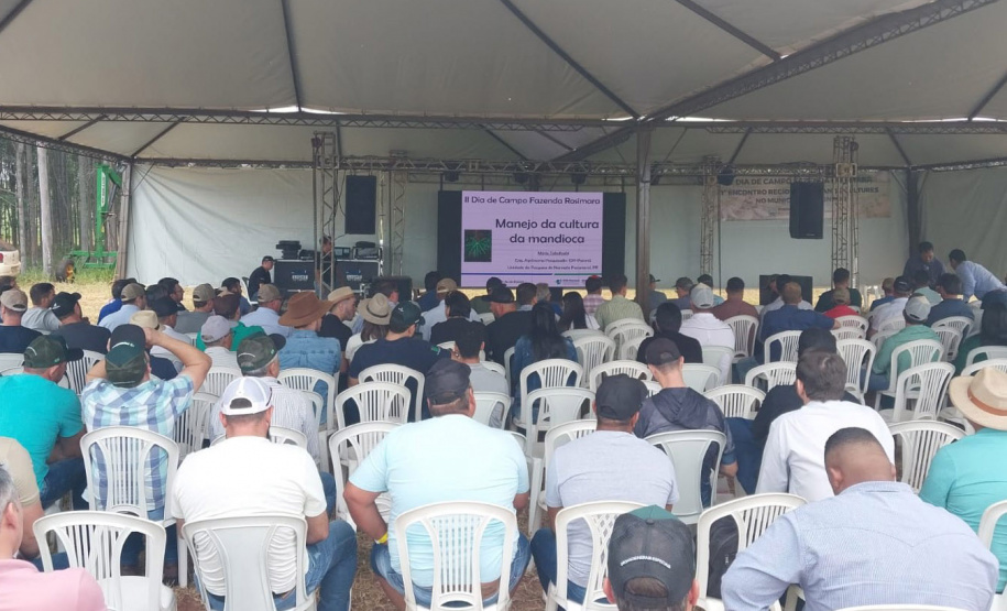 Rondon recebe 1° Encontro Regional de Produtores de Mandioca