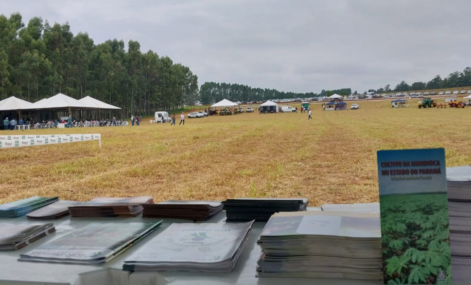 Rondon recebe 1° Encontro Regional de Produtores de Mandioca