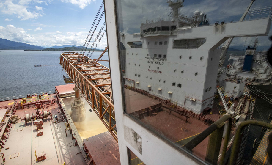 Movimentação portuária do Estado está maior tanto na comparação mensal quanto anual