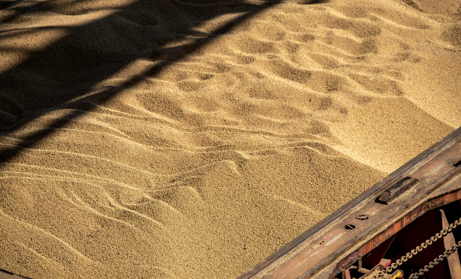 Abril começa com alta expectativa para embarque de granéis para exportação pelo Porto de Paranaguá