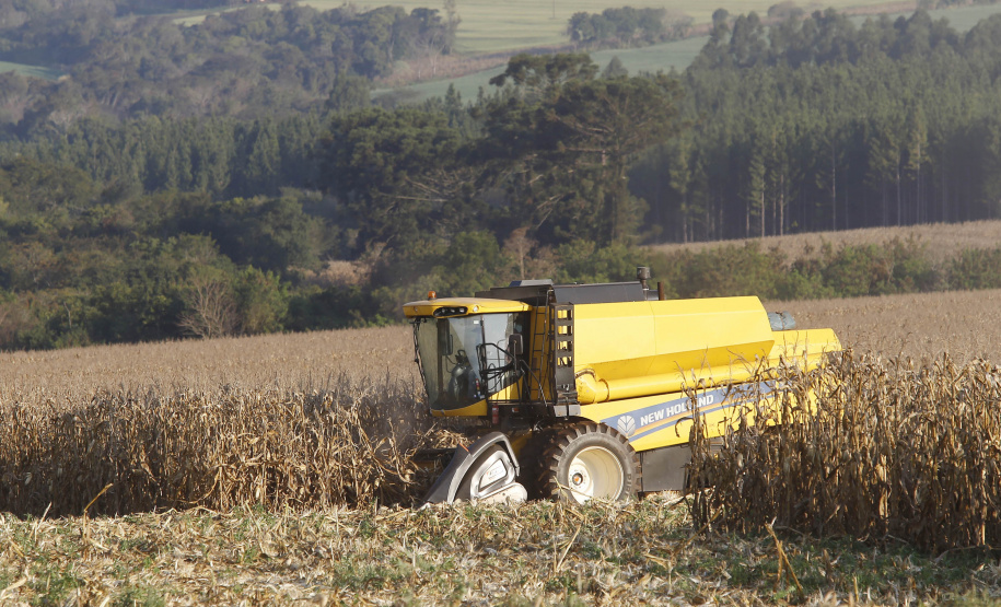 Safra de grãos 2022/2023 no Paraná pode chegar a 47,12 milhões de toneladas