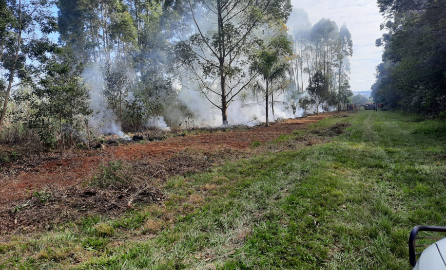 IAT finaliza queima controlada contra espécies invasoras no Parque de Vila Velha