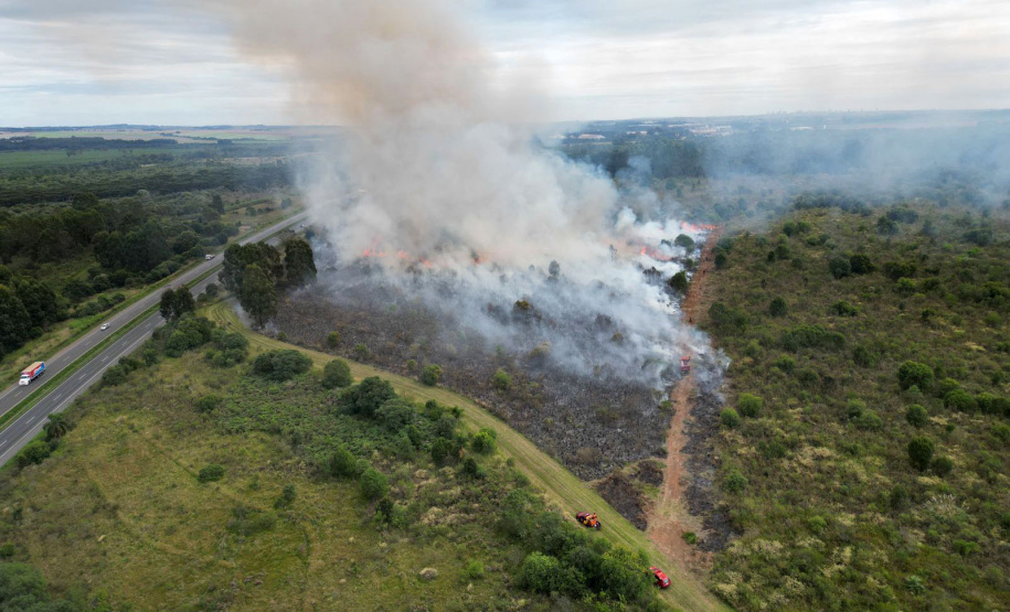 IAT finaliza queima controlada contra espécies invasoras no Parque de Vila Velha