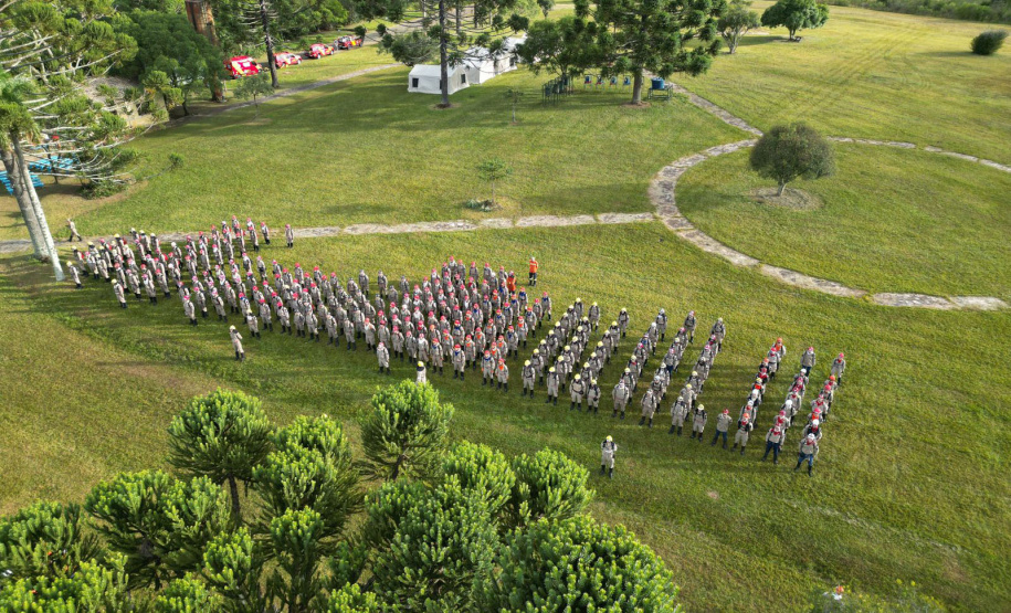 IAT finaliza queima controlada contra espécies invasoras no Parque de Vila Velha