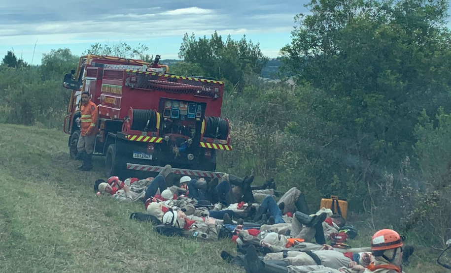 IAT finaliza queima controlada contra espécies invasoras no Parque de Vila Velha