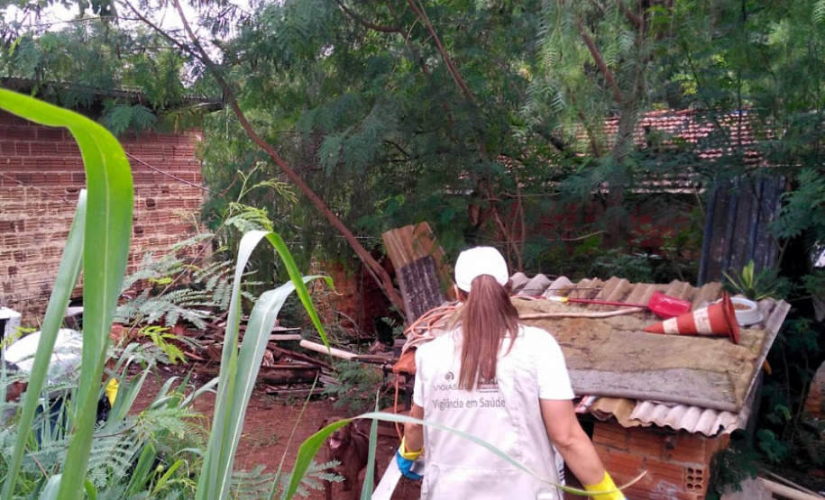 Estado estabelece frente de combate à dengue para intensificar ações em todo o Estado