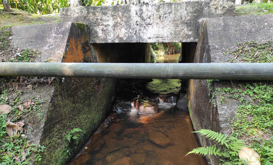 DER 100 dias - Litoral