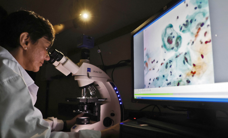 Matéria especial Samar - HPV UEM