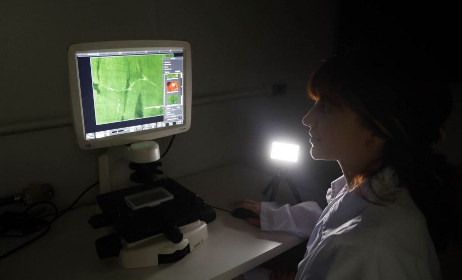 Matéria especial Samar - HPV UEM