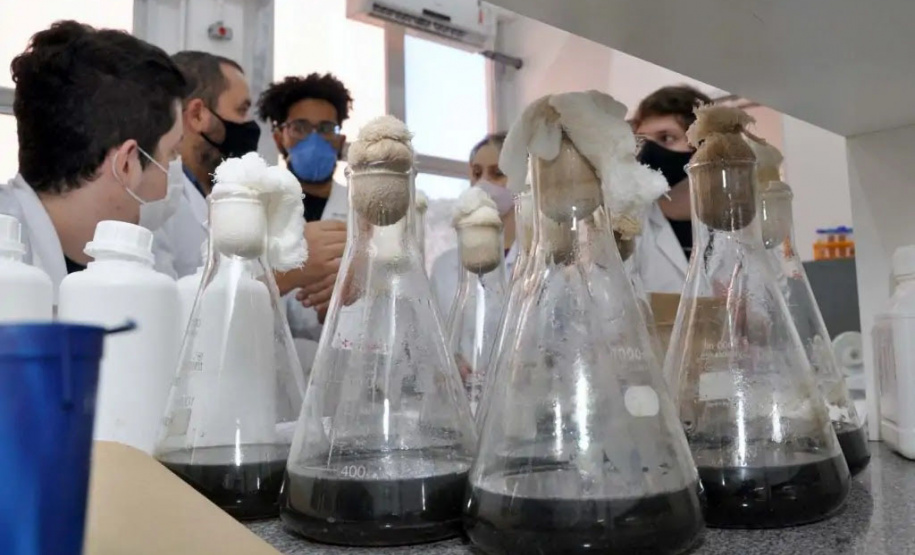 Aumento de bolsas da Fundação Araucária beneficia 354 pesquisadores da UEL