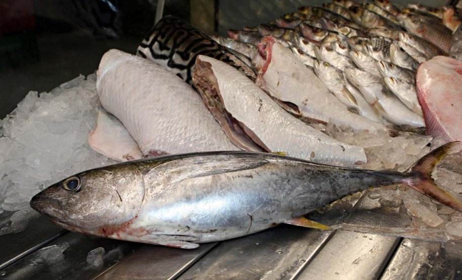 Sesa orienta sobre cuidados ao escolher o pescado para a Sexta-feira Santa