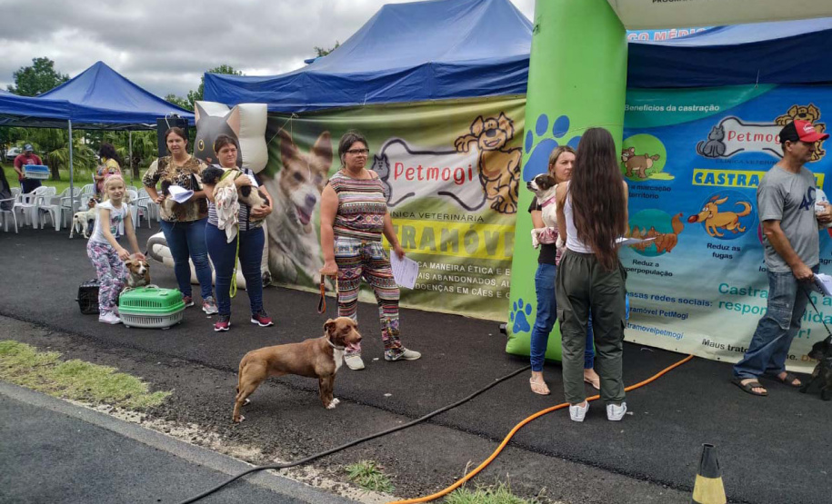 CastraPet Paraná chega a nove cidades em maio