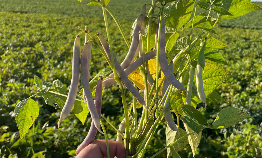 Matéria especial Samar - Agricultor Mangueirinha