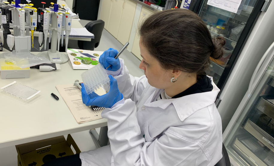 Para entender a doença, Paraná recebe treinamento de sequenciamento de genoma de chikungunya