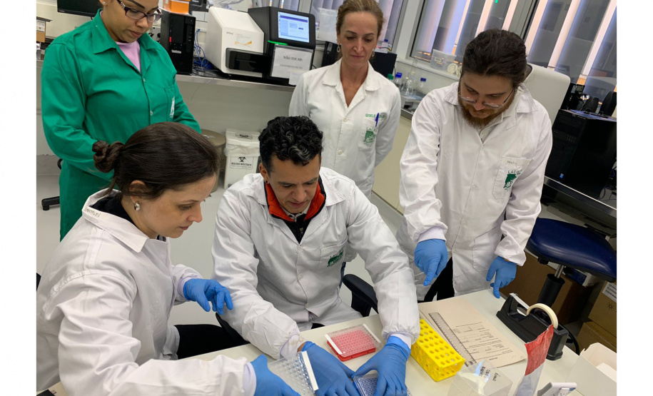 Para entender a doença, Paraná recebe treinamento de sequenciamento de genoma de chikungunya