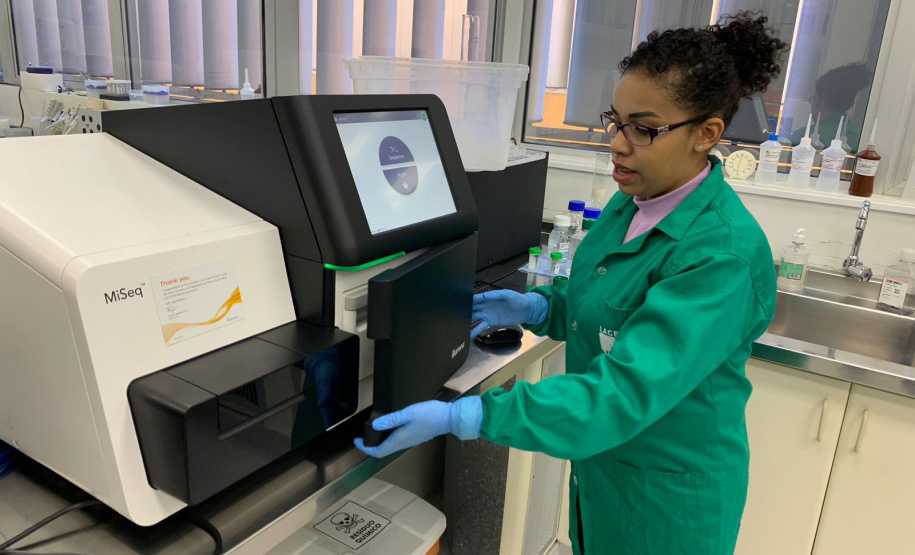 Para entender a doença, Paraná recebe treinamento de sequenciamento de genoma de chikungunya