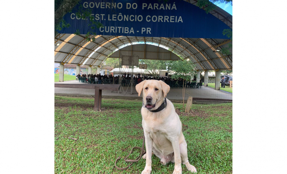 Policiais do SOE ministram palestra em colégio da rede estadual do Paraná
