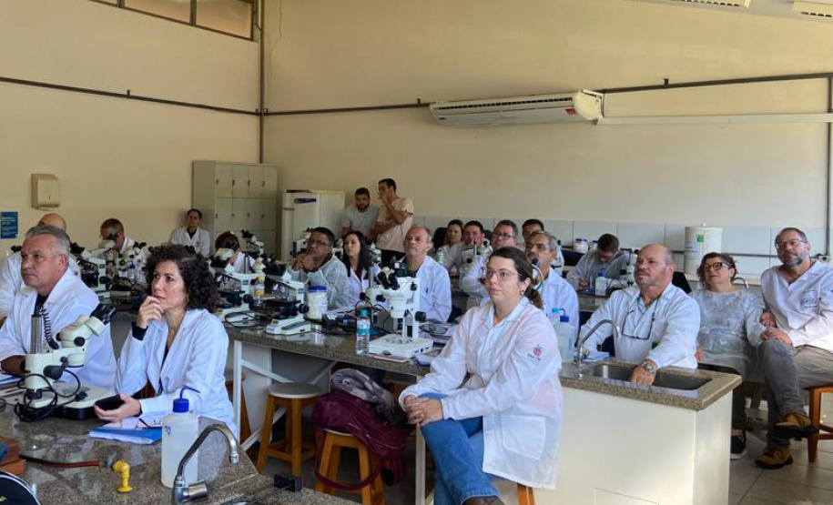 Em parceria com Ministério da Saúde, Paraná realiza capacitação para identificação do vetor de febre maculosa