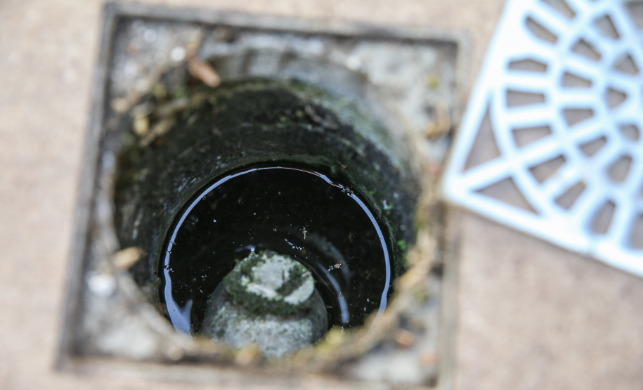 Secretaria da Saúde dá continuidade às ações de combate à dengue na Região de Londrina