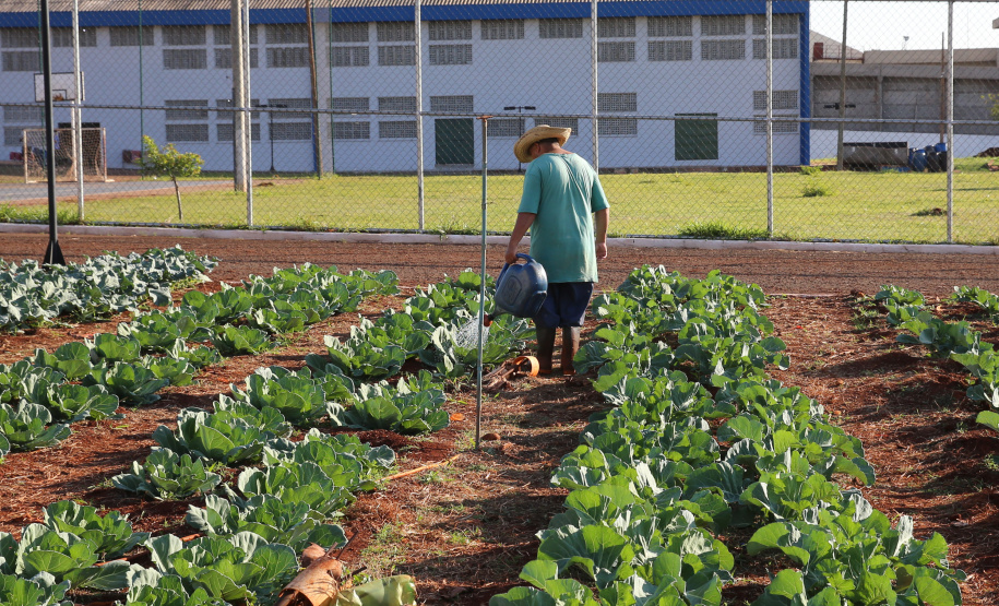 Modelo de tratamento penal do Paraná é referência nacional em ressocialização