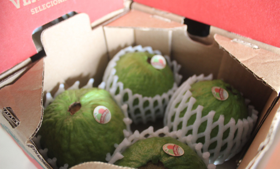 Cooperativa do Norte Pioneiro melhora estrutura com apoio do Programa Coopera Paraná