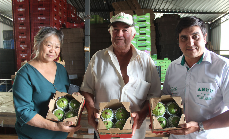 Cooperativa do Norte Pioneiro melhora estrutura com apoio do Programa Coopera Paraná