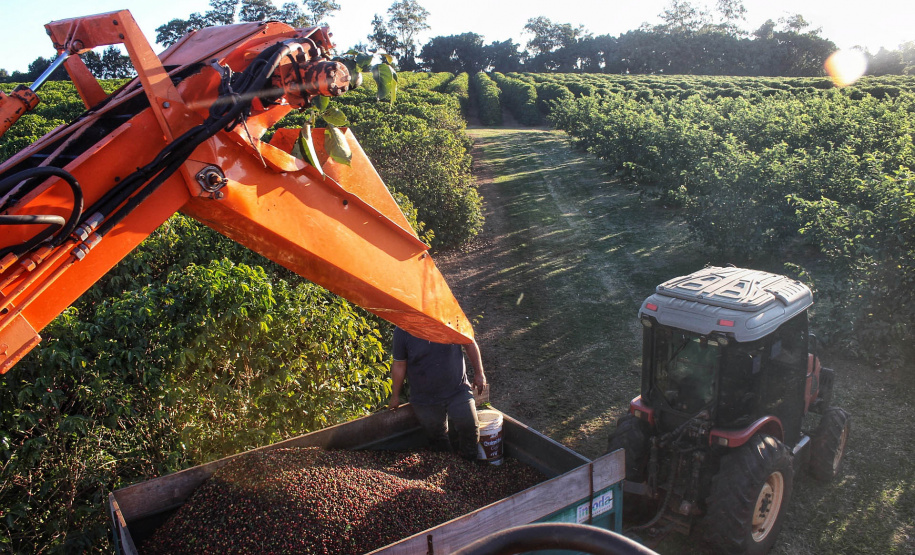 Visita técnica do Sistema Estadual de Agricultura a propriedades de café em Carlópolis