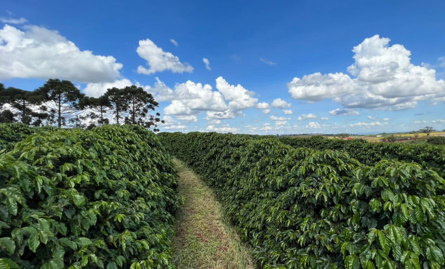 Sanepar publica edital de parceria para transformar lodo de esgoto em fertilizante