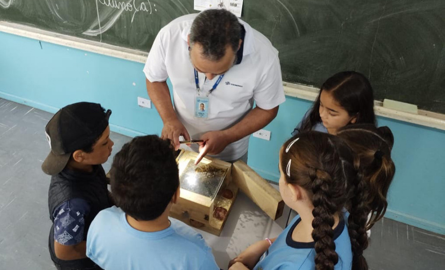 Sanepar amplia ações de preservação de abelhas nativas na Região Metropolitana de Curitiba