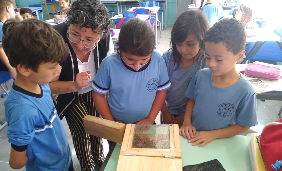 Sanepar amplia ações de preservação de abelhas nativas na Região Metropolitana de Curitiba