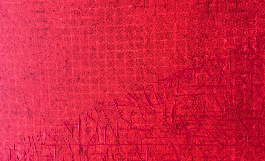 MON realiza exposição individual de Leila Pugnaloni