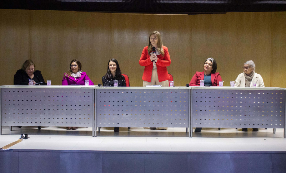 Paraná promoveu reunião técnica para fortalecer Centros de Referência de Atendimento à Mulher