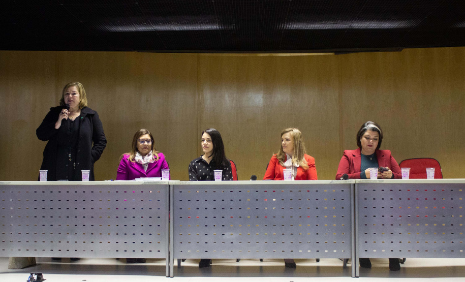 Paraná promoveu reunião técnica para fortalecer Centros de Referência de Atendimento à Mulher