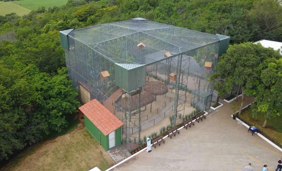 Criada pela Organização das Nações Unidas (ONU), o Dia Internacional da Biodiversidade busca conscientizar a população da respeito importância da diversidade biológica em todos os ecossistemas