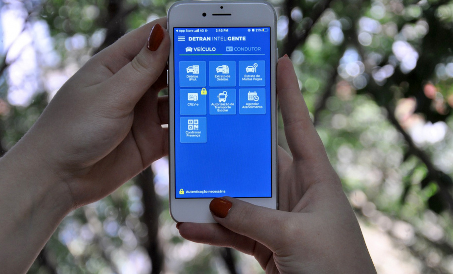 Maio Amarelo: conheça o papel da tecnologia da Celepar na gestão do trânsito