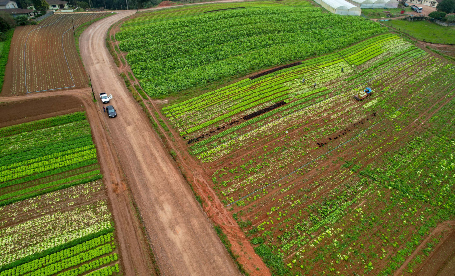 São José dos Pinhais,