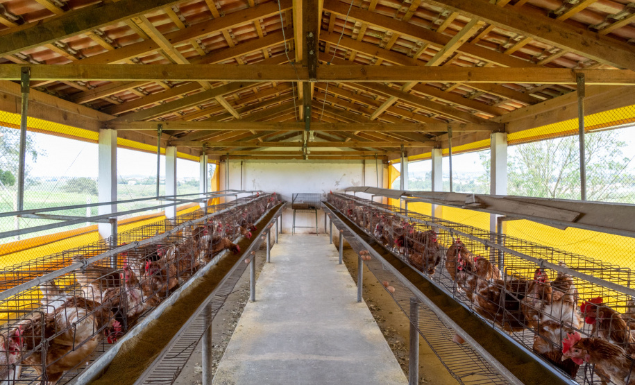 Governo propõe a criação de cooperativas-escolas nos colégios agrícolas