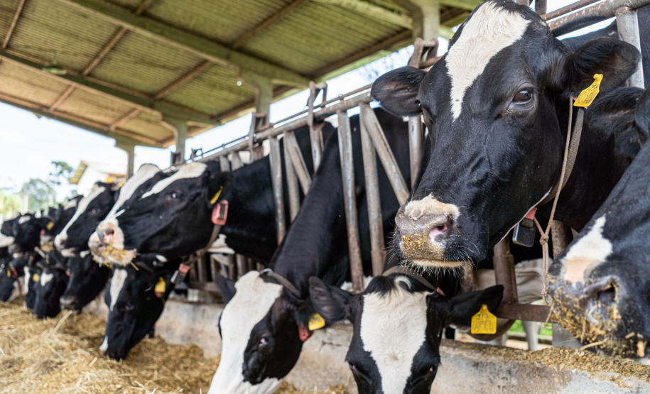 Governo propõe a criação de cooperativas-escolas nos colégios agrícolas