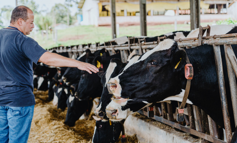Governo propõe a criação de cooperativas-escolas nos colégios agrícolas